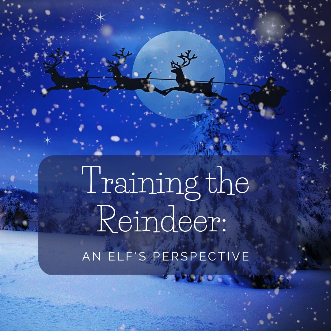 Training the Reindeer: An Elf's Perspective